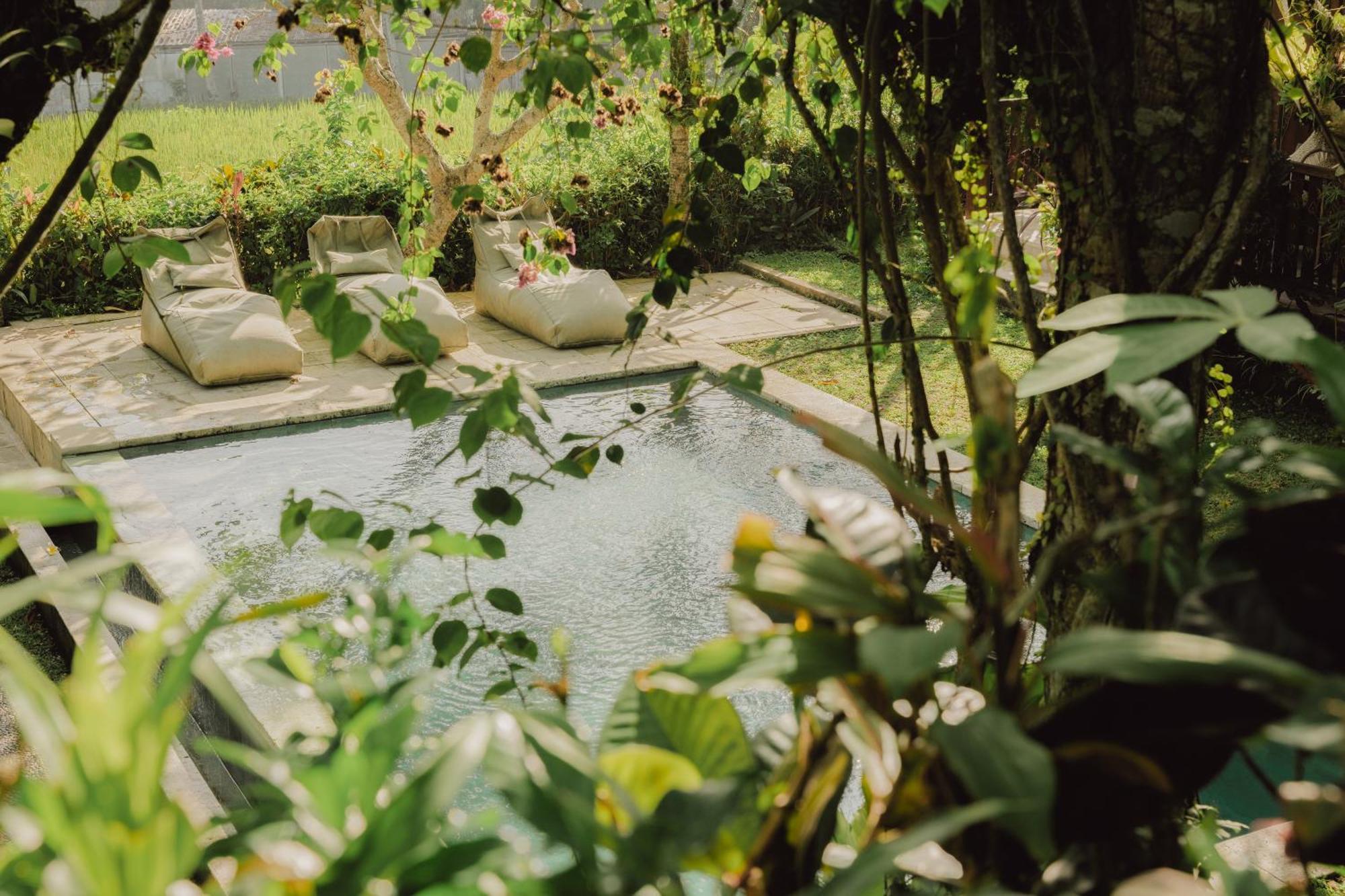 Villa Lumbung Убуд Экстерьер фото